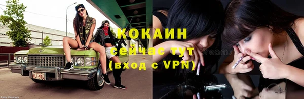 СК Бородино