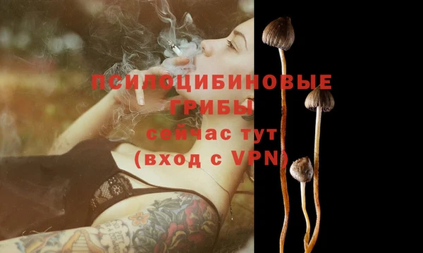 прущая мука Бронницы