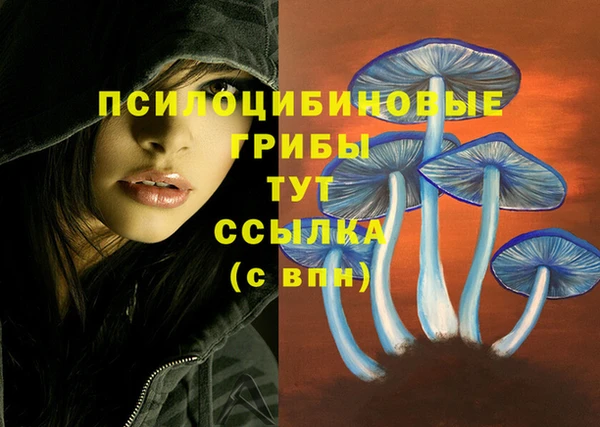 прущая мука Бронницы