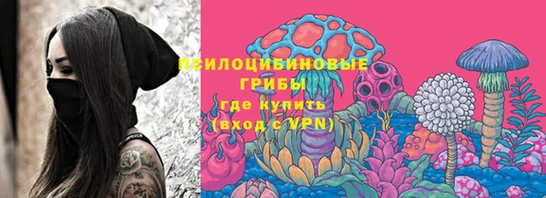 не бодяженный Няндома