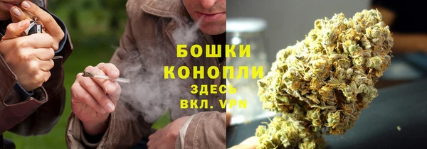 СК Бородино