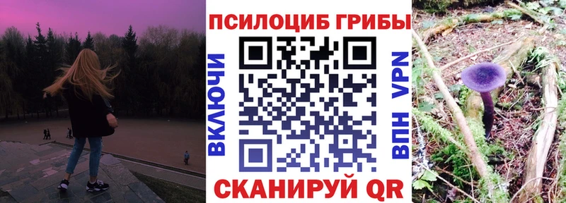 Псилоцибиновые грибы Magic Shrooms  Купить закладки  Арамиль 